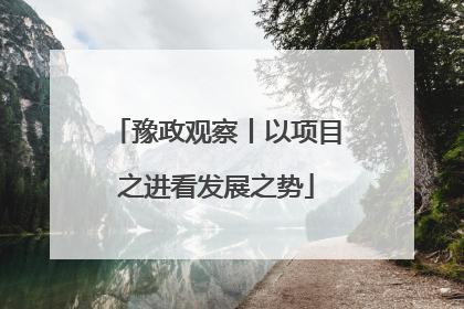 豫政观察丨以项目之进看发展之势