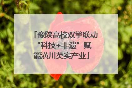 豫陕高校双擎联动 “科技+非遗”赋能潢川芡实产业