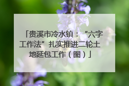 贵溪市冷水镇：“六字工作法”扎实推进二轮土地延包工作（图）