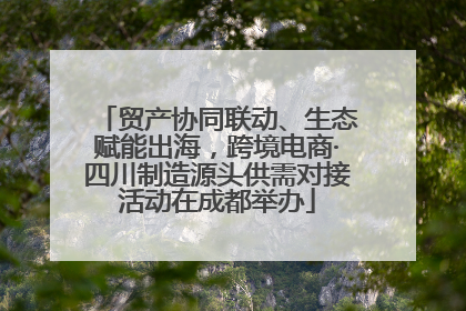 贸产协同联动、生态赋能出海，跨境电商·四川制造源头供需对接活动在成都举办