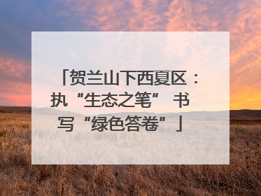 贺兰山下西夏区：执“生态之笔” 书写“绿色答卷”