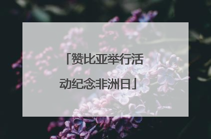 赞比亚举行活动纪念非洲日