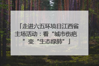 走进六五环境日江西省主场活动：看“城市伤疤”变“生态绿肺”