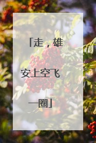 走，雄安上空飞一圈