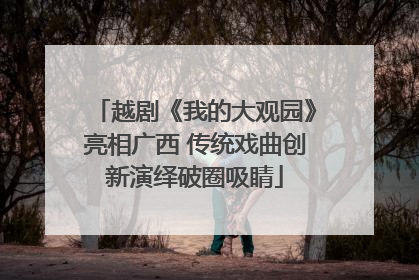 越剧《我的大观园》亮相广西 传统戏曲创新演绎破圈吸睛