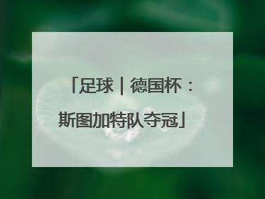 足球｜德国杯：斯图加特队夺冠