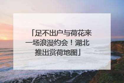 足不出户与荷花来一场浪漫约会！湖北推出赏荷地图