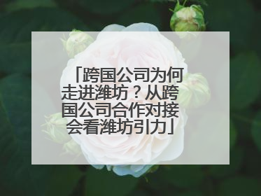 跨国公司为何走进潍坊？从跨国公司合作对接会看潍坊引力