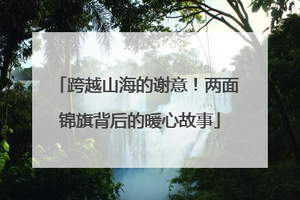 跨越山海的谢意！两面锦旗背后的暖心故事