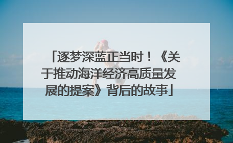 逐梦深蓝正当时！《关于推动海洋经济高质量发展的提案》背后的故事