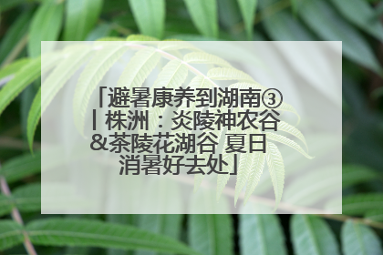 避暑康养到湖南③丨株洲：炎陵神农谷&茶陵花湖谷 夏日消暑好去处