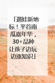 遛娃新地标！平谷南瓜嘉年华，30+品种让孩子边玩边涨知识