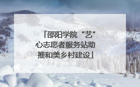 邵阳学院“艺”心志愿者服务站助推和美乡村建设