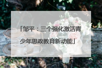 邹平：三个强化激活青少年思政教育新动能