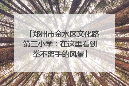 郑州市金水区文化路第三小学：在这里看到拳不离手的风景