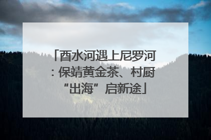 酉水河遇上尼罗河：保靖黄金茶、村厨“出海”启新途