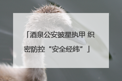 酒泉公安披星执甲 织密防控“安全经纬”