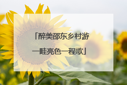 醉美邵东乡村游 一畦亮色一程歌
