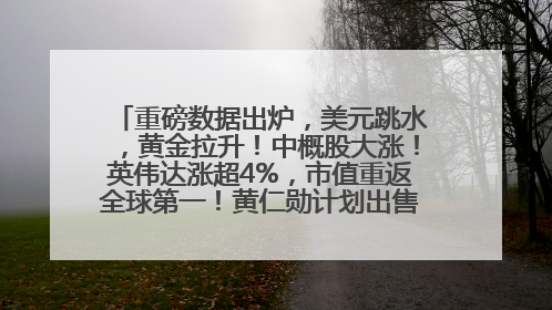 重磅数据出炉，美元跳水，黄金拉升！中概股大涨！英伟达涨超4%，市值重返全球第一！黄仁勋计划出售至多600万股股票