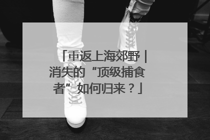 重返上海郊野｜消失的“顶级捕食者”如何归来？