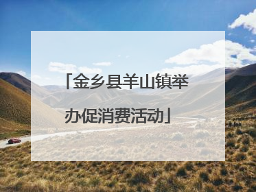 金乡县羊山镇举办促消费活动