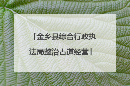 金乡县综合行政执法局整治占道经营