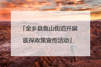 金乡县鱼山街道开展医保政策宣传活动