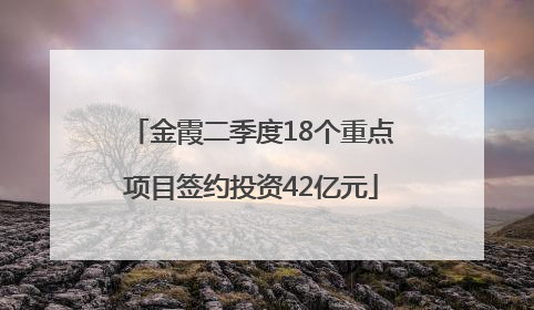 金霞二季度18个重点项目签约投资42亿元
