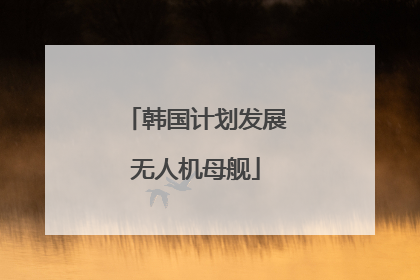 韩国计划发展无人机母舰