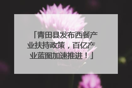 青田县发布西餐产业扶持政策，百亿产业蓝图加速推进！