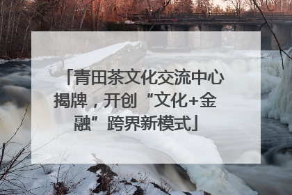 青田茶文化交流中心揭牌，开创“文化+金融”跨界新模式