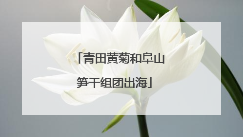 青田黄菊和阜山笋干组团出海