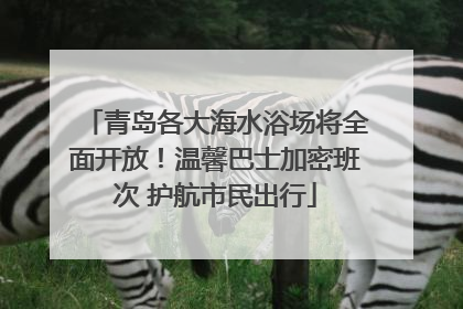 青岛各大海水浴场将全面开放！温馨巴士加密班次 护航市民出行