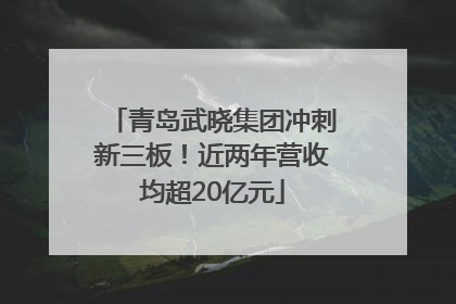 青岛武晓集团冲刺新三板！近两年营收均超20亿元