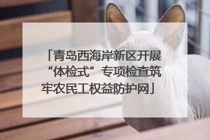 青岛西海岸新区开展“体检式”专项检查筑牢农民工权益防护网