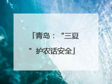 青岛：“三夏”护农话安全