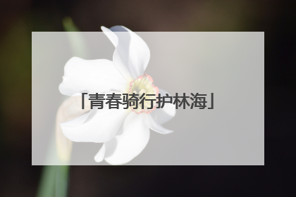 青春骑行护林海