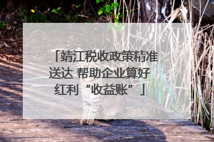 靖江税收政策精准送达 帮助企业算好红利“收益账”