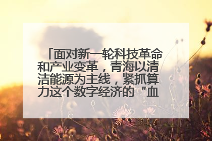 面对新一轮科技革命和产业变革，青海以清洁能源为主线，紧抓算力这个数字经济的“血液”、科技主权的“筹码”、产业升级的“杠杆”、绿色转型的“支点”，勇于撬动国家“双碳”战略、“东数西算”工程重大发展新机遇