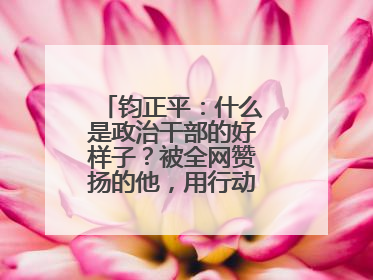 钧正平：什么是政治干部的好样子？被全网赞扬的他，用行动作出了回答