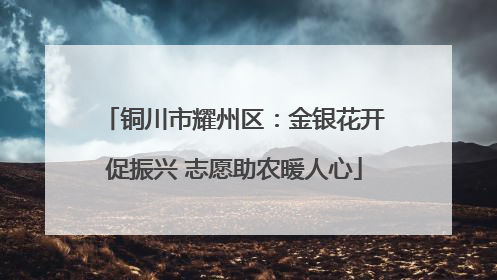 铜川市耀州区：金银花开促振兴 志愿助农暖人心