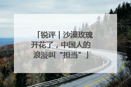 锐评｜沙漠玫瑰开花了，中国人的浪漫叫“担当”