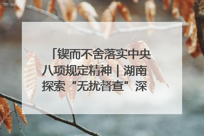 锲而不舍落实中央八项规定精神｜湖南探索“无扰督查”深化基层减负