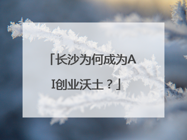 长沙为何成为AI创业沃土?