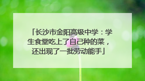 长沙市金阳高级中学：学生食堂吃上了自己种的菜，还出现了一批劳动能手