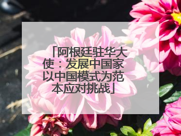 阿根廷驻华大使：发展中国家以中国模式为范本应对挑战