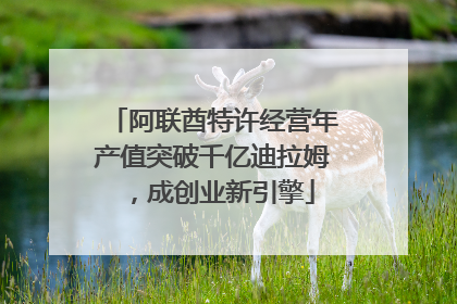 阿联酋特许经营年产值突破千亿迪拉姆，成创业新引擎