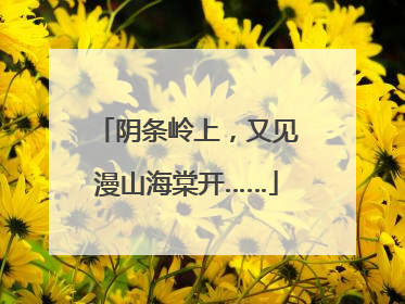 阴条岭上，又见漫山海棠开……