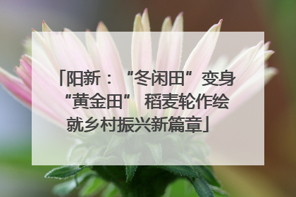阳新：“冬闲田”变身“黄金田” 稻麦轮作绘就乡村振兴新篇章