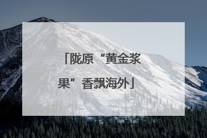 陇原“黄金浆果”香飘海外